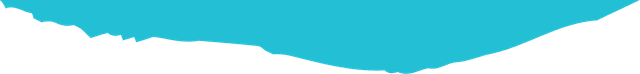 Banner top Vector