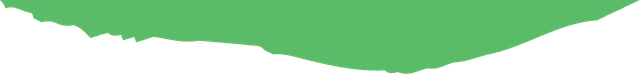 Banner top Vector