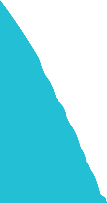 Banner Bottom Vector