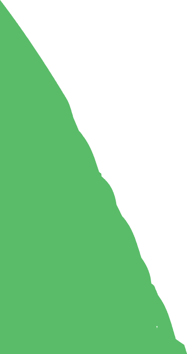 Banner Bottom Vector