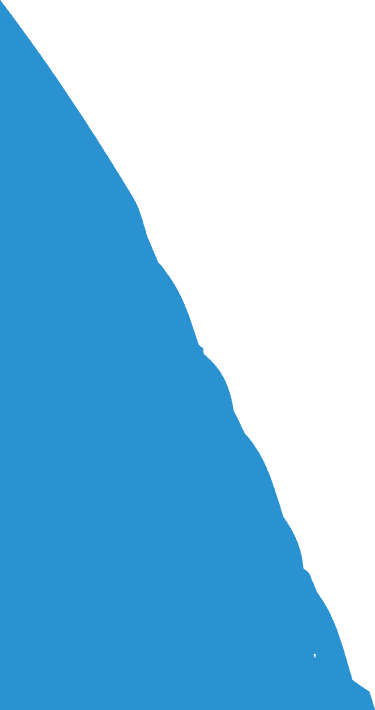 Banner Bottom Vector