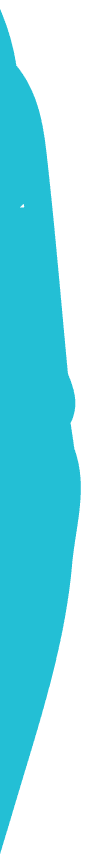 Banner top Vector