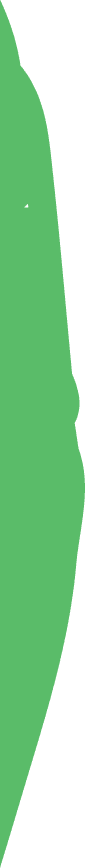 Banner top Vector
