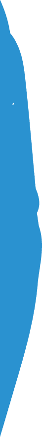 Banner top Vector